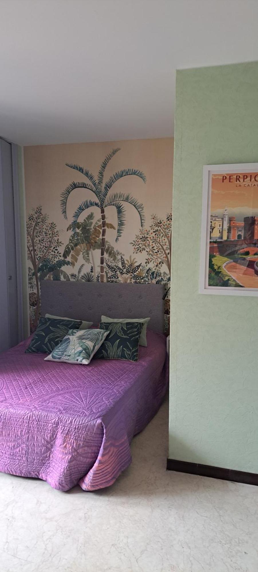 Studio Phannie Renove 50M Cures Amélie-les-Bains-Palalda Esterno foto